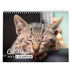 Calendário de Parede Fotográfica do Cat Naps 202