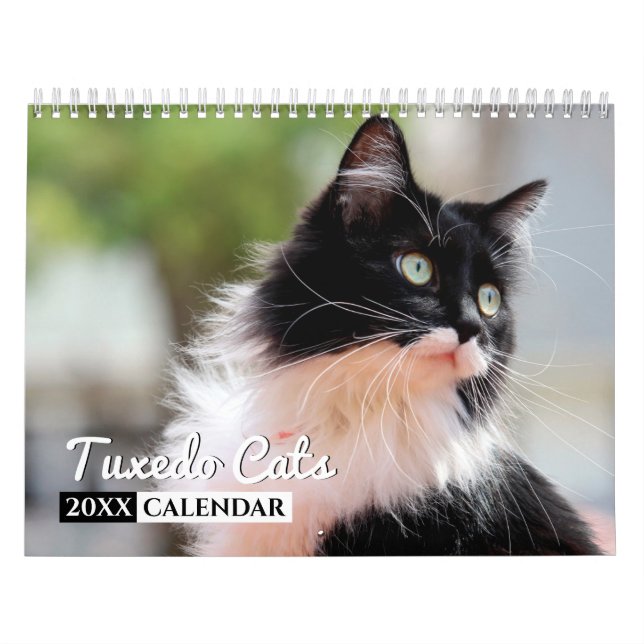 Calendário de Parede Fotográfica do Tuxedo Cats (Capa)