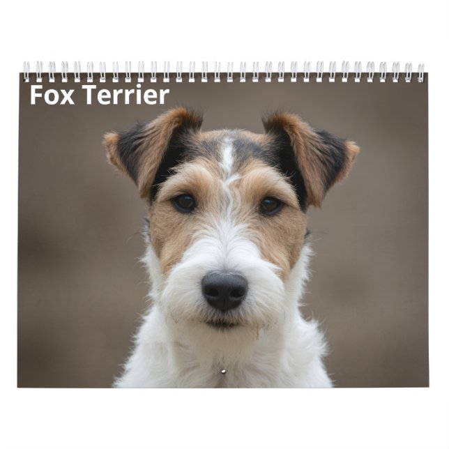 Calendário de Parede Fox Terrier 2027 (Capa)