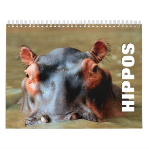 Calendário de Parede Hippopotamus