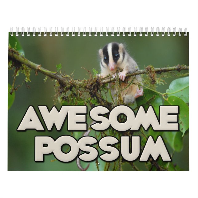 Calendário de parede impressionante do gambá (Capa)