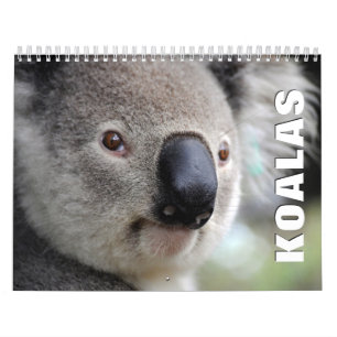 Calendário de Parede Koalas 2022