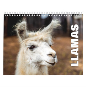 Calendário de Parede Llamas 2022