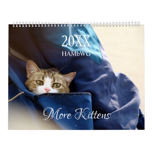 Calendário de Parede Mais Gatinhos - HAMbyWG (Capa)