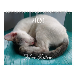 Calendário de Parede Mais Gatinhos - HAMbyWG