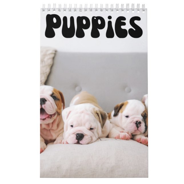 Calendário de Parede Mensal de Cuppies (Capa)