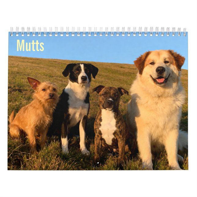 Calendário de parede Mutts 2027 (Capa)