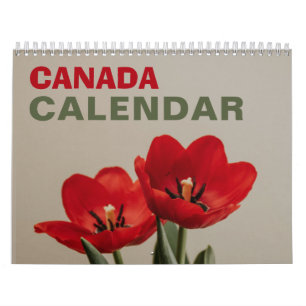 Calendário de Parede Natureza do Canadá 2026 Feria
