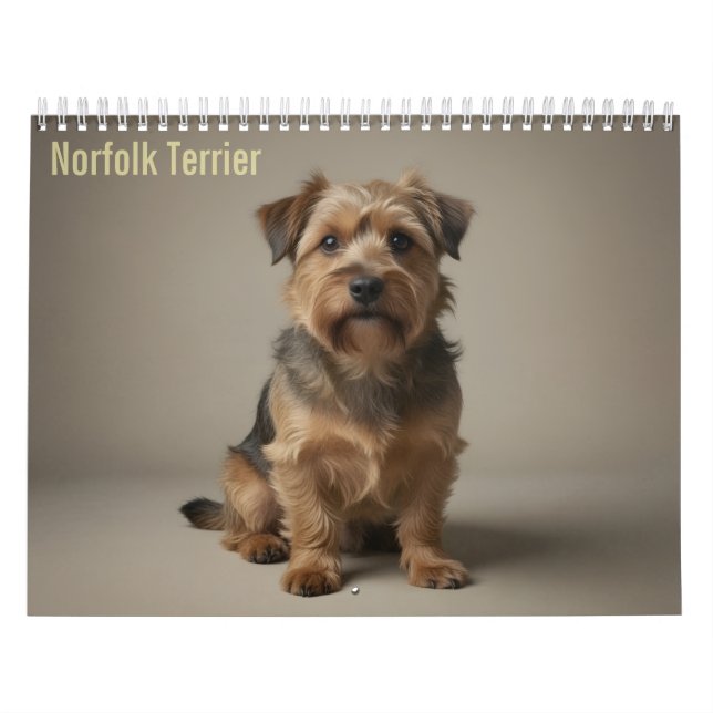 Calendário de Parede Norfolk Terrier 2027 (Capa)
