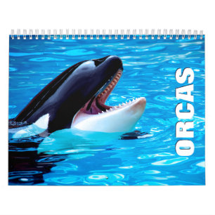 Calendário de Parede Orcas