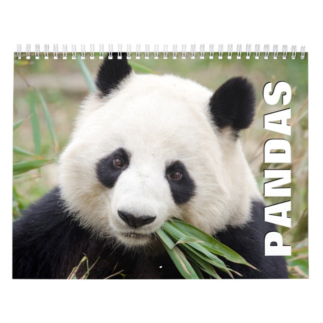 Calendário de Parede Pandas (Capa)