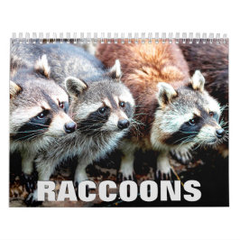 Calendário de Parede Raccoons