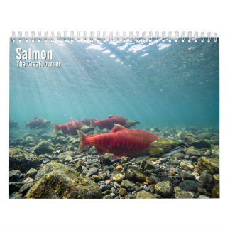 Calendário de parede Salmão 2027