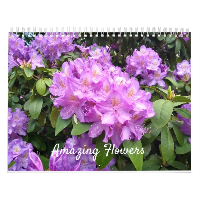 Calendário de parede surpreendente das flores (Capa)