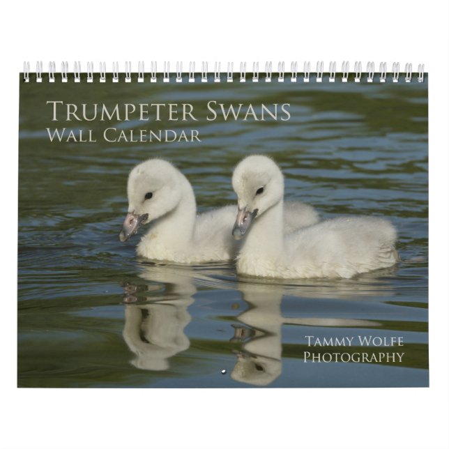 Calendário de Parede Swan de Trombador (Capa)