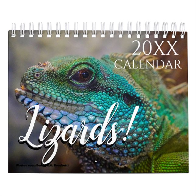 Calendário de Parede Temático de Lagarto 2027 de P (Capa)