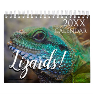 Calendário de Parede Temático de Lagarto 2027 de P
