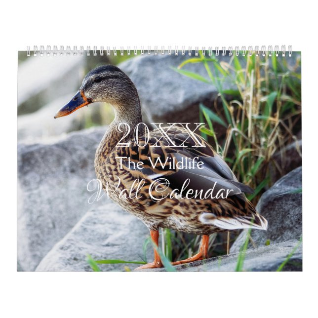 Calendário de Parede Vida Selvagem - HAMbWG (Capa)