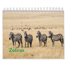 Calendário de Parede Zebra