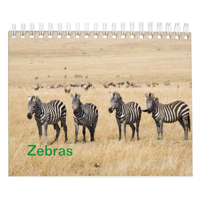 Calendário de Parede Zebra (Capa)