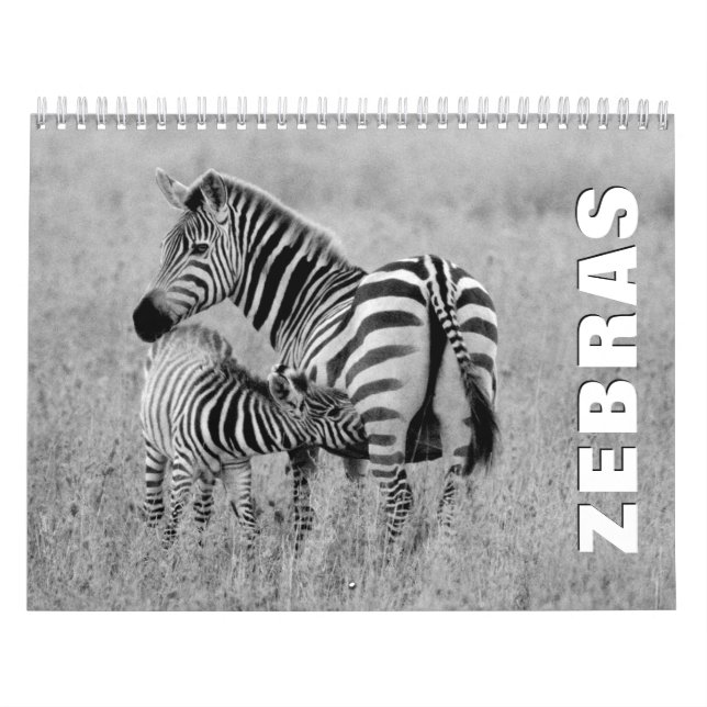 Calendário de Parede Zebras (Capa)