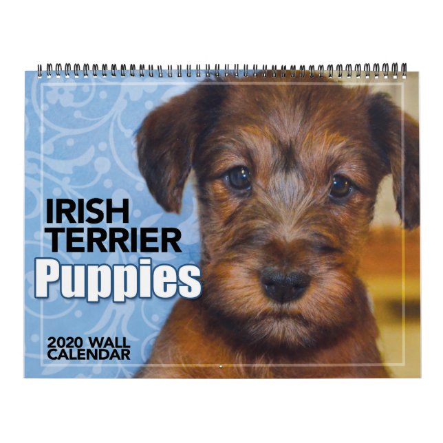 Calendário de Paredes do Irish Terrier Puppies 202 (Capa)