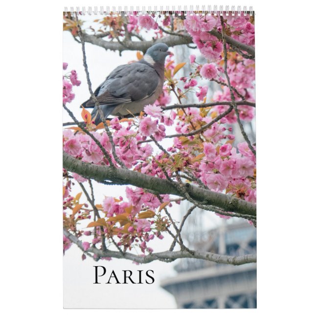 Calendário de Paris (Capa)
