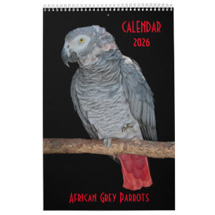Calendário de Parques de Cinza Africano