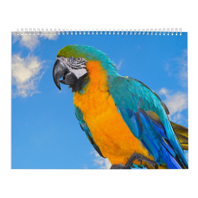 Calendário de Partições Mistas (Capa)