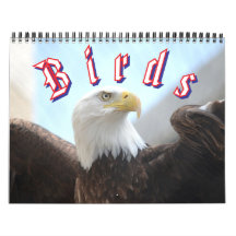 Calendário de Pássaros