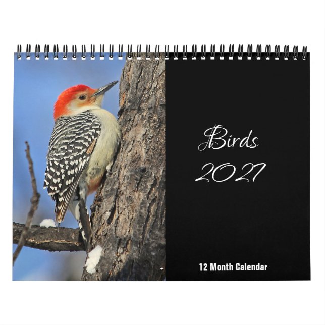 Calendário de Pássaros 2027 (Capa)