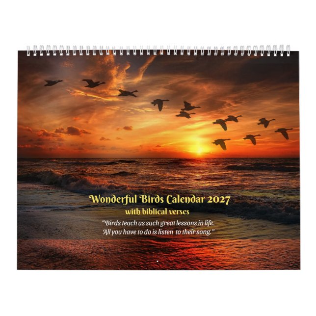 Calendário de Pássaros 2027 - Com versículos bíbli (Capa)