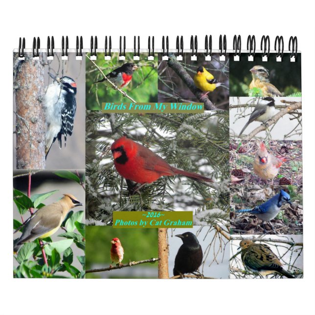 Calendário De Pássaros De 2016 Da Minha Janela (Capa)