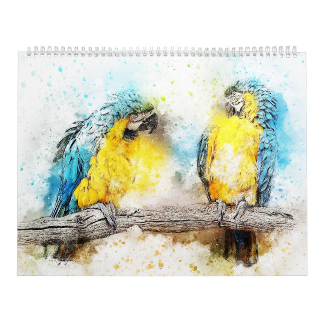 Calendário de Pássaros de Aquarela (Capa)