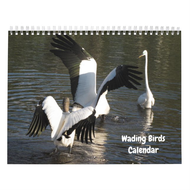 Calendário de Pássaros Desatualizados (Capa)