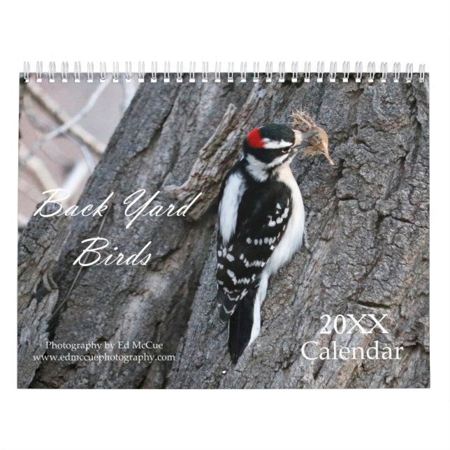 Calendário de Pássaros do Anel Traseiro (Capa)