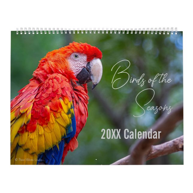 Calendário de Pássaros Escolha o Mês / Ano de Iníc (Capa)