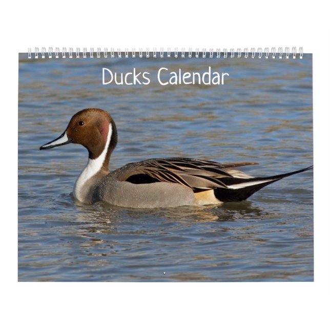 Calendário de Patos (Capa)