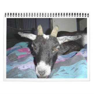 Calendário de Pedro 2009