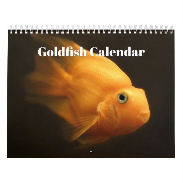 Calendário de Peixes Dourados 2027 (Capa)