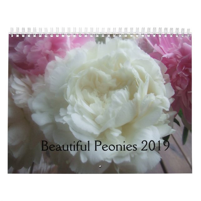 Calendário de Peões 2019 (Capa)