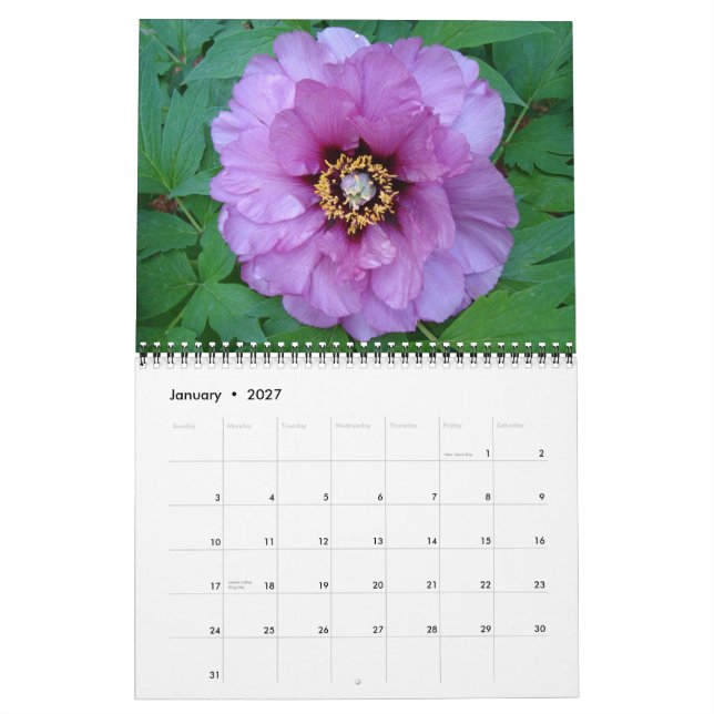 Calendário de Peony 2010 (Jan 2027)