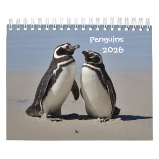 Calendário de Pinguins