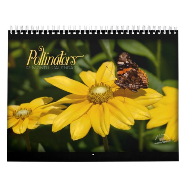 Calendário de Polinizadores (Capa)
