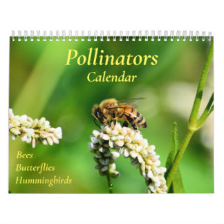 Calendário de Polinizadores
