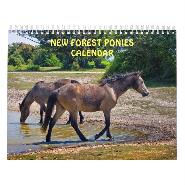 Calendário de Pôneis da Nova Floresta (Capa)