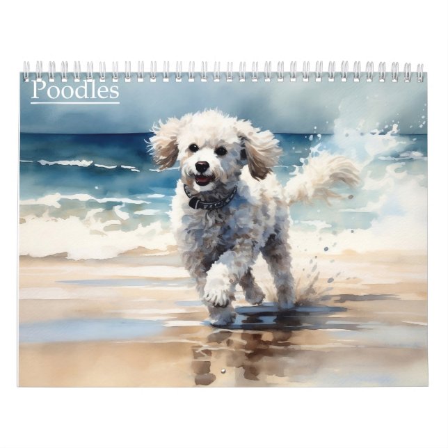 Calendário de Poodles, a qualquer ano (Capa)