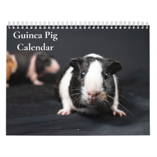 Calendário de Porquinhos-da-índia 2027