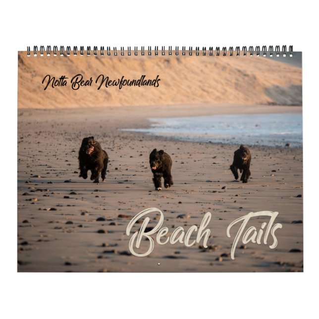 Calendário de Praia de Oregon de Notta Bear Terra  (Capa)