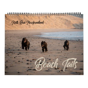 Calendário de Praia do Oregon de Notta Bear Newfo